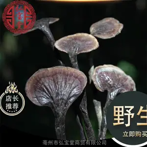 ��������֥ ҩʳͬԴҰ����������֥��Ʒ�뱦�ó���