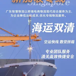 孵卵器从山东德州发到新加坡海运空运DDU