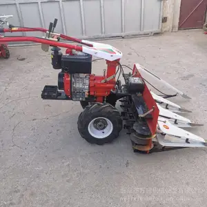 С���������޻��ո������ո�� ����ʽ���͸�ɹ�����