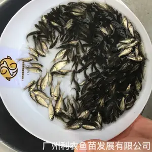 �п�5��3������������ ������Գ�һ�� ȫ������ �ͺ����