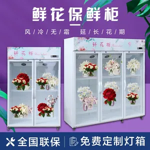 ��ѩ�ʻ����ʹ� ����չʾ��ع� �����ʻ���ع�