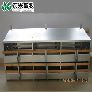 ��Ӧ��������24Ѩ������