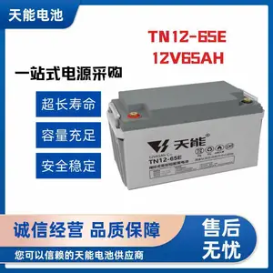 �������������� TN12-65Q 12V/65AH Ǧ����ά����� ups��������