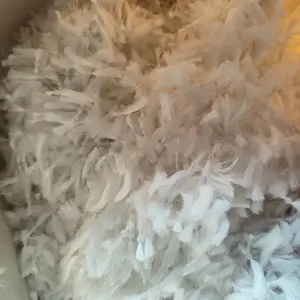 �������� ����ʽ��ά������������ �������׷�ϴD���˳����۹���