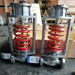 ����ѹ����ѹ�� ZZYP-16B/K ���ֵ��ɱ�Ĥʽѹ����ѹ�� ��ѹ�� ZZYP-16C DN20