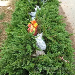 ����԰�� �̻�����30�����̵ذ� ���ذؾ��� �ͺ��ͺ�