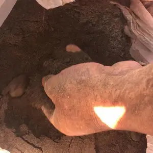 内蒙古齐鲁阿维菌渣 做底肥驱虫防病 防治根结线虫