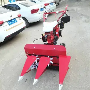 �����ַ�������ɹ�� ��С�͸�˻� �ǲ���ֳ�����ո��