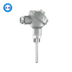 英鹏防爆 铠装式温度传感器 EXBZ-100T/T53
