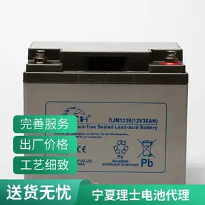 理士2V100AH DJ100 阀控密封式铅酸免维护蓄电池UPS/EPS电源