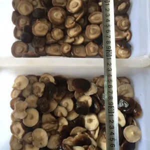 河北供应盐渍香菇,出口标准,常年供应