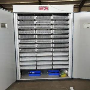 供应zn-2112syj家庭养殖全自动小型工业养殖大型孵化机