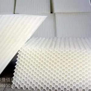 ���������� б������ ���Ƿ���PP���� ***