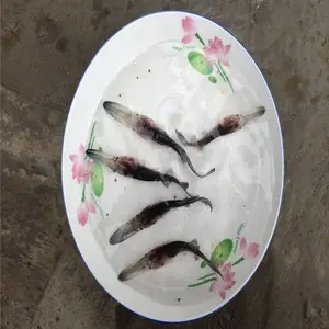 ***Ѽ�������� ���ֵ�ˮѼ������󲻹� Ѽ�����繩Ӧ��