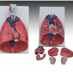 �����ġ���ģ��YR-A1077�����ġ���ģ��YR-A1077