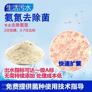 甘度 生活污水处理菌 好氧 氨氮去除剂 高效微生物 活性污泥菌种