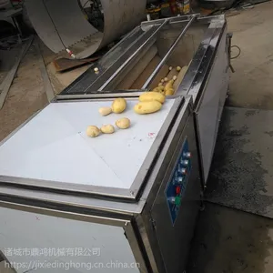 供应猪蹄毛辊清洗机 鼎鸿MQX-800型猪蹄清洗机价格