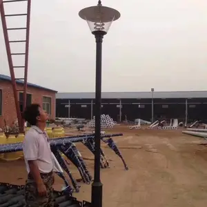 �ֻ���Ӧ3.5�׵�ͷͥԺ��