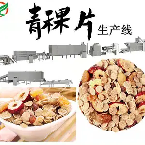 济南林阳-青稞麦片生产线双螺杆膨化机 挤压膨化青稞麦片设备