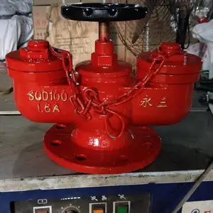 地下新型接合器 多用式消防水泵接合器 SQD100-1.6A 永三牌 5铜 带证