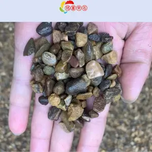 ��β����ʯʯ�Ļ��أ��㶫����ʯ����ʯ��Χǽ������ɫ����ʯ