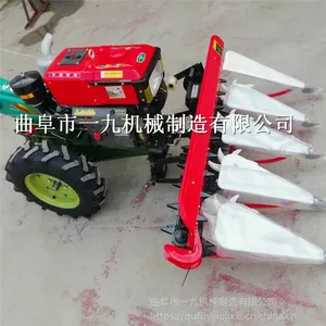 ��Ӧ���������ǰ�� ũ�ø�ɹ�� «έ�ո�� �������
