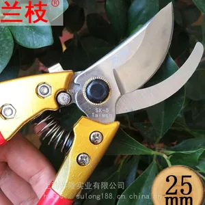 ��֦V8�ּ� SK5��̼�� ԰��ר�� ��԰�޼���֦���� ʡ����֦��