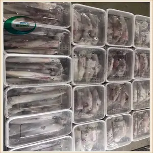 �㶫��������ʽҺ���ٶ������� ����Һ���ٶ��豸�ۺ�����