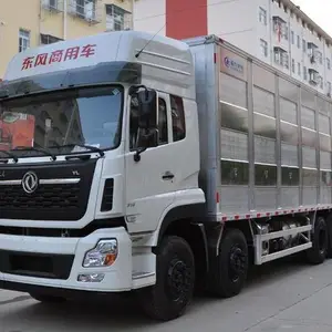 铝合金畜禽运输车 东风天龙前四后八运猪车-拉猪车厂家