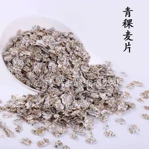 济南泰诺机械 即食青稞麦片生产线 全自红麦片加工设备