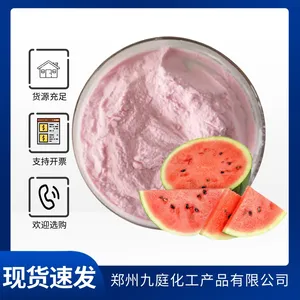 食品级西瓜粉厂家直供 植物提取 萃取粉果蔬粉