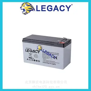 LEGACY ʨ������ LGD6/260 6V260AH ����ƽ̨ ϴ�ػ� ����ǣ�����
