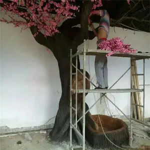 ������ ����������� ��Ӧ԰�ַ�����