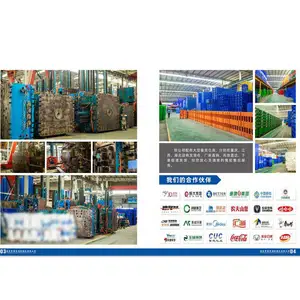 重庆赛普实业有限公司