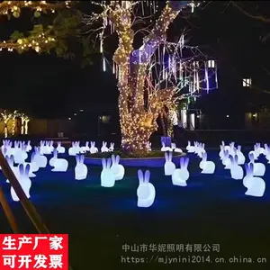 ��������ҹ�������ƹ�СƷ LED�������ӵ� ʮ����Ф����ʵ� ����·�Ƹ�����װ�ιҼ� ���ղʵƳ���