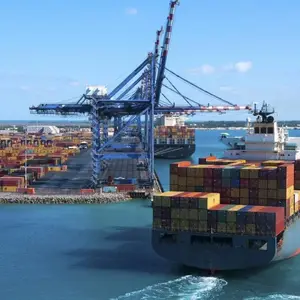 中国海运到印度尼西亚双清到门