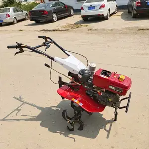 ��ƺר�����ͳ��������� С�͹�԰���������� ����;������¢��