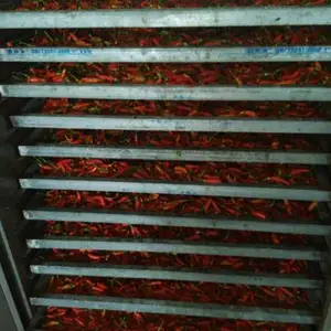 空气能热泵烘干机取代传统辣椒烘干工艺,只因更节能,烘干品质更佳
