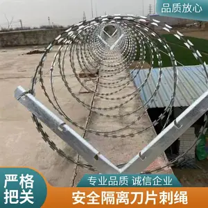 �����ȶ�п��Ƭ���� ������������̷�����Χǽ������˿��