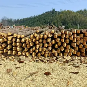 天门打桩木,十堰打桩木,荆州打桩木,孝感打桩木,黄冈打桩木,黄石打桩木,武汉打桩木,宜昌打桩木,湖北
