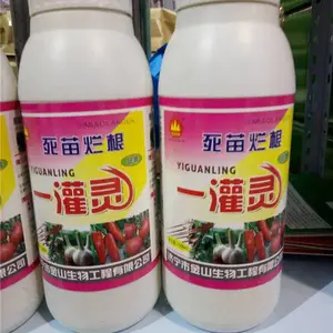 死苗烂根一灌灵瓜果蔬菜死苗烂根的克星,济宁金山生物抗重茬根部急救120