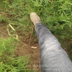 �ٷ������� ��ڷ������� ����ũ����ֲ����