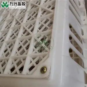 ��������ת�� ���ϼ�Ѽ��ת�� ������ת��