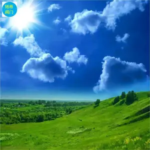 ��ϣ��Ӧ ����բ�� ���ֲ�����ֶ����� Z61H DN 80