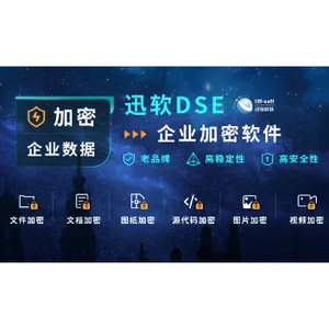 上海一款好用数据加密产品 真诚推荐 上海迅软信息科技供应