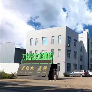 山东万棵松互动科技有限公司