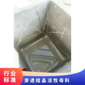 龙晨防腐涂料施工性能优异防水效果长久水泥基渗透结晶母料生产