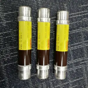 德国SIBA正品10/24kV高压熔断器3001413.50 3001413.63