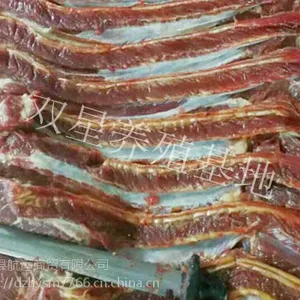 现货供应蒙古草原活马吊宰马肋条马肋排剔骨马肋条