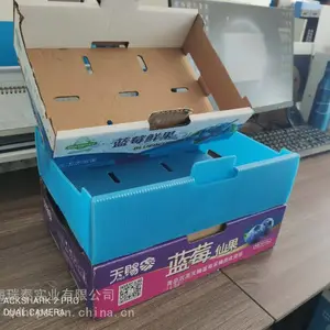 厂家现货青岛奥海可折叠PP塑料蓝莓包装箱